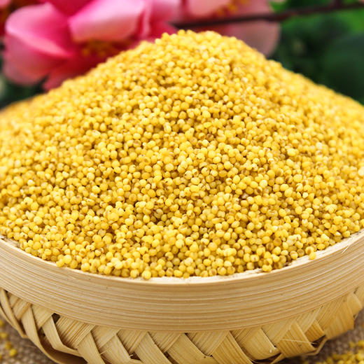 陕北米脂小米 商品图1