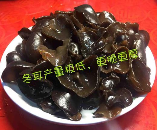 东北黑木耳，肉厚爽脆，生长期更长，产量低，质地更厚 商品图2
