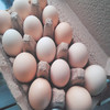 自产柴鸡蛋 商品缩略图1