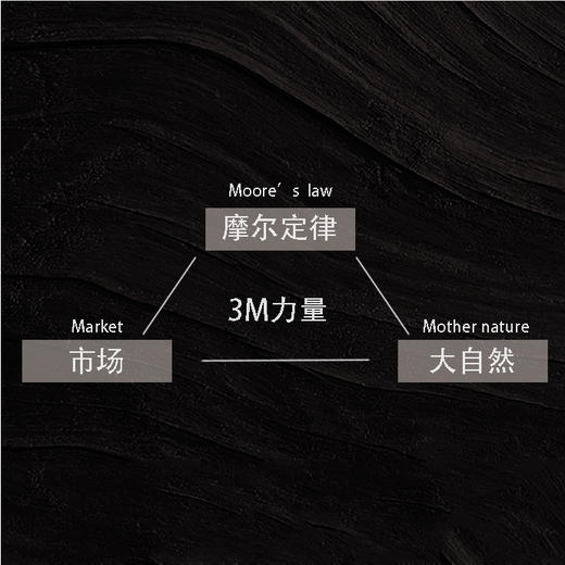 谢谢你迟到 以慢制胜破题未来格局《世界是平的》作者弗里德曼写给未来格局 入选2018年书香中国 商品图9