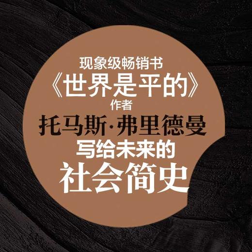 谢谢你迟到 以慢制胜破题未来格局《世界是平的》作者弗里德曼写给未来格局 入选2018年书香中国 商品图2