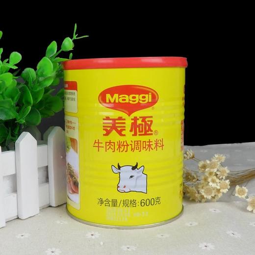 雀巢Maggi美极牛肉粉调味料 腌肉粉调制汁酱汤底料 罐装 商品图0