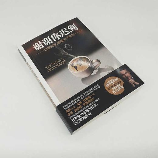 谢谢你迟到 以慢制胜破题未来格局《世界是平的》作者弗里德曼写给未来格局 入选2018年书香中国 商品图3