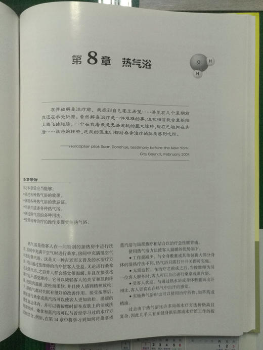 西方现代临床按摩系列：现代水疗与按摩 商品图10