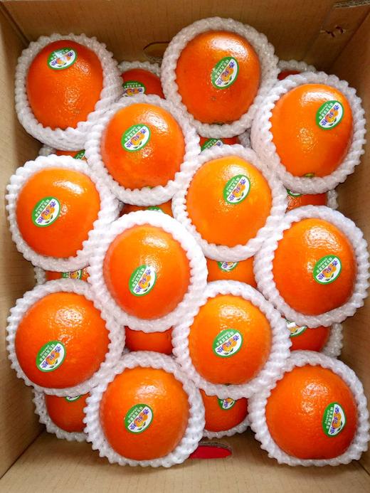 台湾香妃橙团购开始周四2018年03月08号到货即可领取当天务必领取完毕