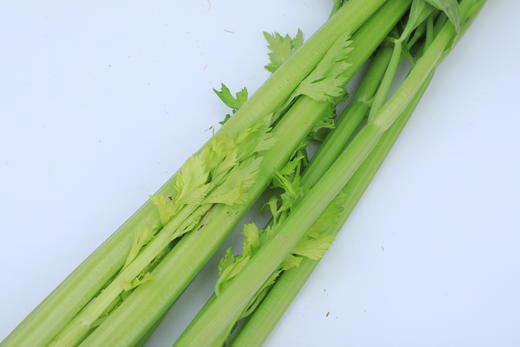 密云芹菜500g 商品图2