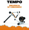 迈金 TEMPO 智能功率骑行台 送费飞轮地垫 踏频器 包运费 商品缩略图0