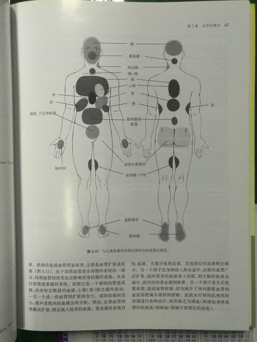 西方现代临床按摩系列：现代水疗与按摩 商品图5