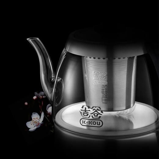 永利汇电水壶煮茶壶玻璃养生壶 TA0303玻璃烧水壶保温煮茶壶 商品图2