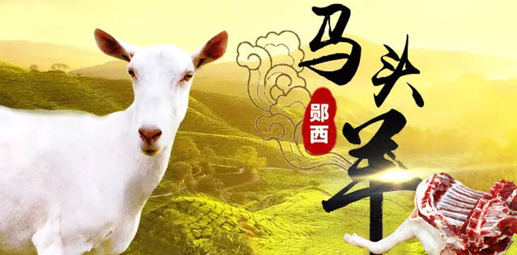 生鲜肉类 郧西马头山羊腿(后腿肉带骨头) 2斤/（前腿带肉带排) 5斤