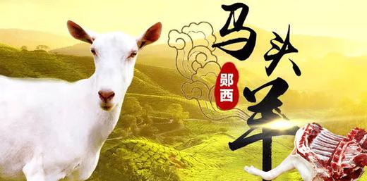 生鲜肉类 郧西马头山羊腿(后腿肉带骨头) 2斤/（前腿带肉带排) 5斤 商品图0