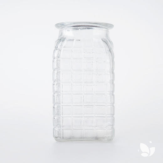透明「小哥哥」玻璃花器。适用于「自然系列Pro版」 商品图0
