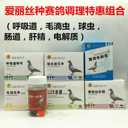 爱丽丝鸽药【基础调理套装】粉剂组合6盒1瓶 商品图0