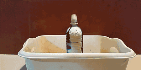 450_223gif 动态图 动图