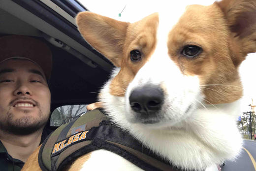 鹏飞的电子卡券（有效期2）批改 商品图0