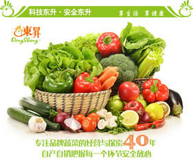 东升农场 蔬菜月卡 1025元（8次配送，每次8斤）广东省包邮