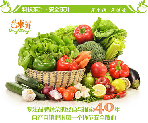 东升农场 蔬菜月卡 1025元（8次配送，每次8斤）广东省包邮 商品图0