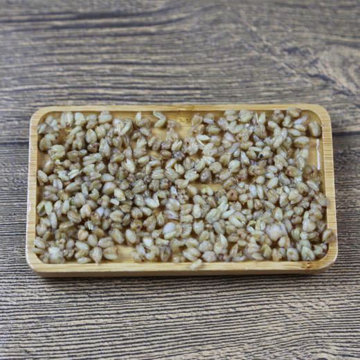 江南六雨茶原味荞麦颗粒匀整金黄明亮香气明显1000克