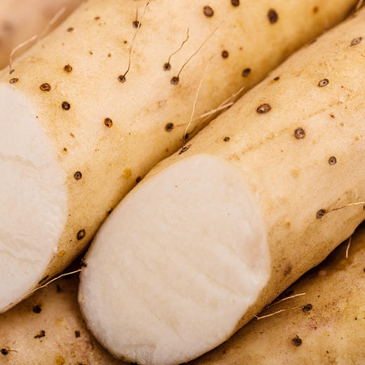 彩虹雨 北京 新鲜蔬菜 有机铁棍山药500g 京津冀满百包邮 商品图3