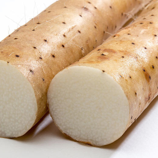 彩虹雨 北京 新鲜蔬菜 有机铁棍山药500g 京津冀满百包邮 商品图4