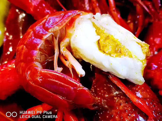 经典口味花雕冰镇小龙虾800克（约22只） 商品图7