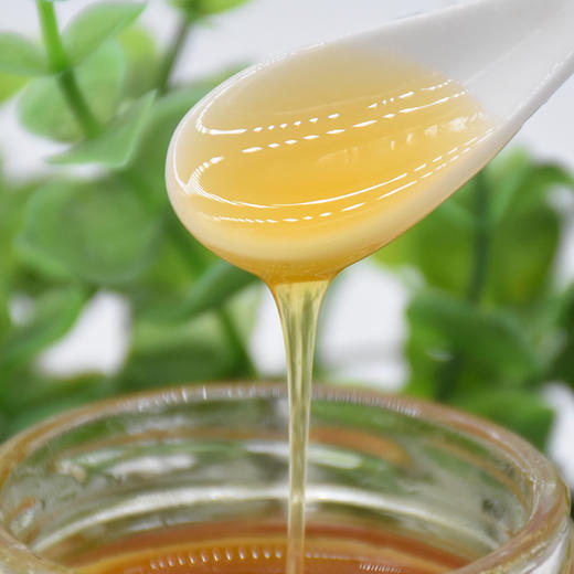 【邮政直供】安顺 关岭【岩峰牌黄金甲蜂蜜】无污染 零添加 产地直销 600/g 全国包邮 商品图3