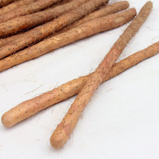 河南沙土长山药铁棍山药一份蔬菜