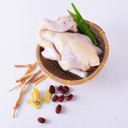 扶贫助农行动月正宗港丰广西瑶山鸡散养365天老母鸡皮脆肉厚脂肪少