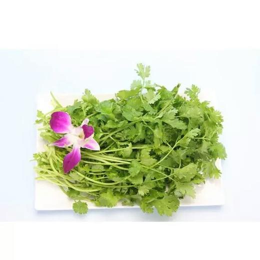 【新鲜】蔬菜 香菜 100g/每份 商品图0