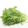 【新鲜】苦苣 苦菊 约250g/份 商品缩略图0