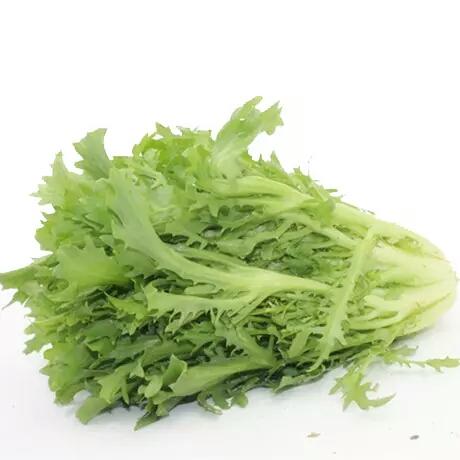 【新鲜】苦苣 苦菊 约250g/份 商品图0