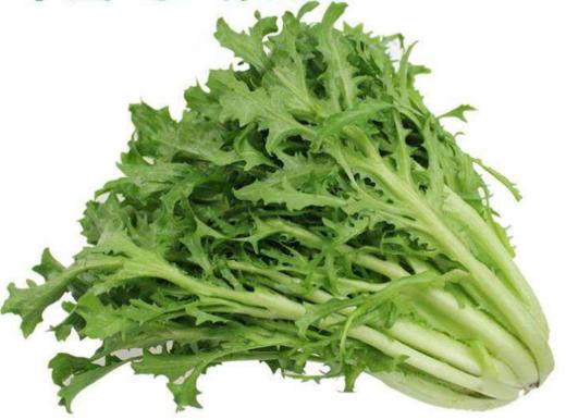 【新鲜】苦苣 苦菊 约250g/份 商品图1