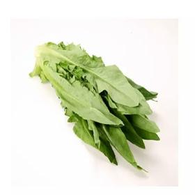 （新鲜）蔬菜 油麦菜500g/份
