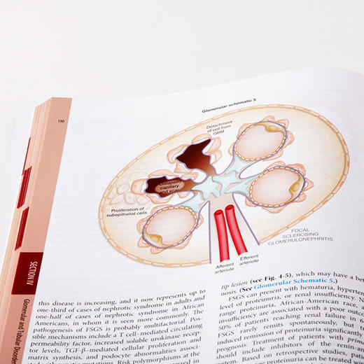 哈里森泌尿系统疾病与酸碱平衡紊乱（第3版）(英文版) 商品图2