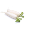 【新鲜】2元/斤蔬菜 白萝卜 约 1Kg/个称重多退少补 商品缩略图0