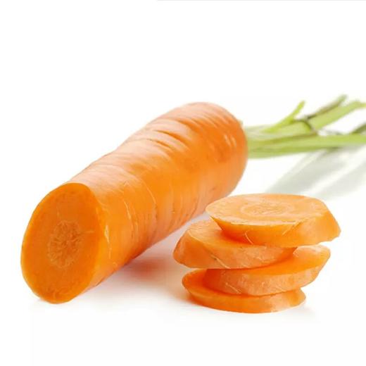 【新鲜】蔬菜 胡萝卜约500g/份 商品图2