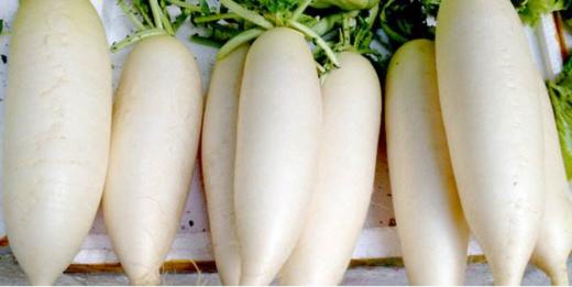 【新鲜】2元/斤蔬菜 白萝卜 约 1Kg/个称重多退少补 商品图1