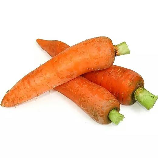 【新鲜】蔬菜 胡萝卜约500g/份 商品图1