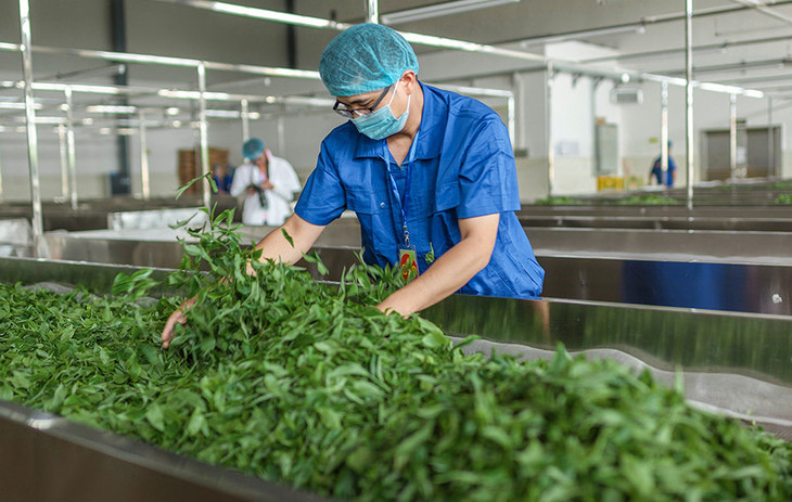 红赤秀礼盒装规格一份2盒五玄土