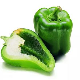 【新鲜】蔬菜 太空椒青椒 500g/份