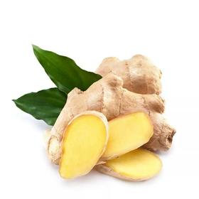 【新鲜】蔬菜 生姜 250g/份