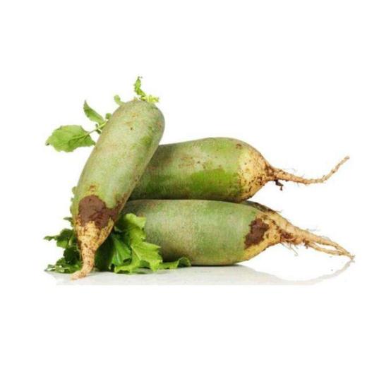 【新鲜】蔬菜（4元一斤）水果青萝卜约1000ｇ／份称重多退少补 商品图0