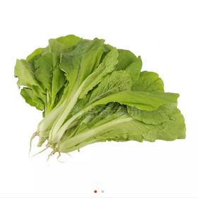 【新鲜】蔬菜 土小白菜约500g/份