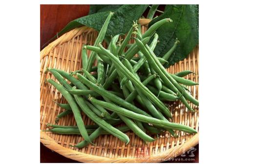 新鲜蔬菜短豆角约500g份