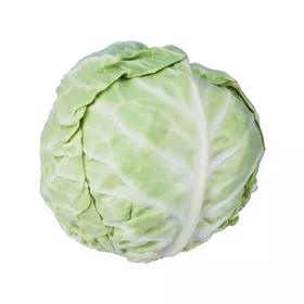 【新鲜】蔬菜　洋白菜　大头菜约1000g/个称重多退少补！！3元/斤】