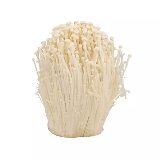 【新鲜】蔬菜　金针菇　250g/份 商品图0