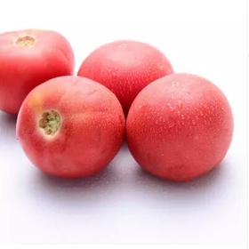 【新鲜】蔬菜精品 西红柿 约500g/份