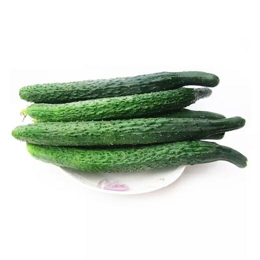 【新鲜】蔬菜 黄瓜约重500g/份 商品图1