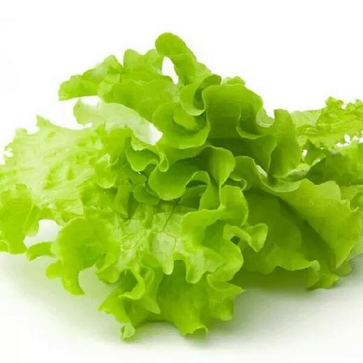 【新鲜】蔬菜　大叶生菜1颗 约 300g/份称重多退少补 商品图1