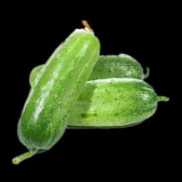 【新鲜】蔬菜 白黄瓜 旱黄瓜 约500g/份称重多退少补 商品图1